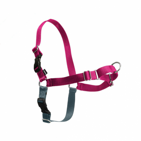 Postroj EasyWalk , mlainovy M