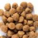 Happy Dog PROFI-LINE Profi Adult Mini 18 kg