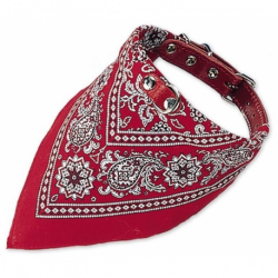 Obojok so šatkou (M) 55cm červená