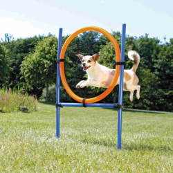 AGILITY kruh proskakovací