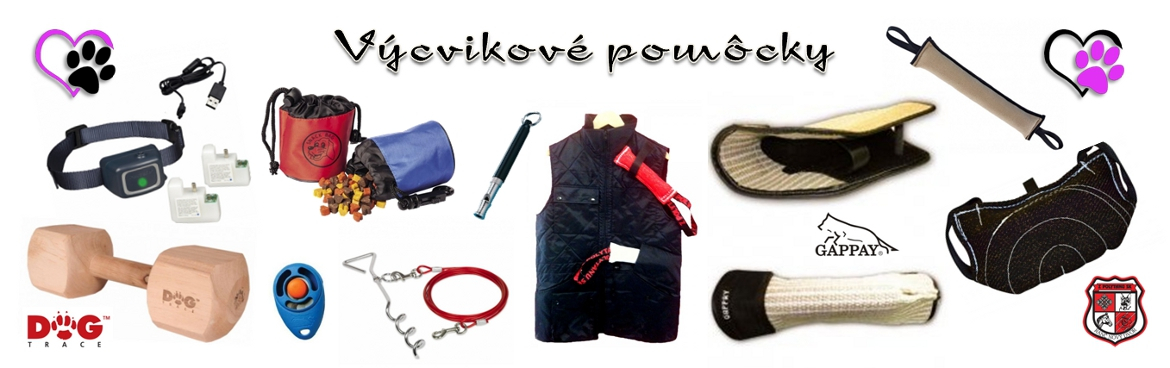 V&yacute;cvik